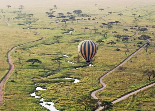 Serengeti Balloon Safari