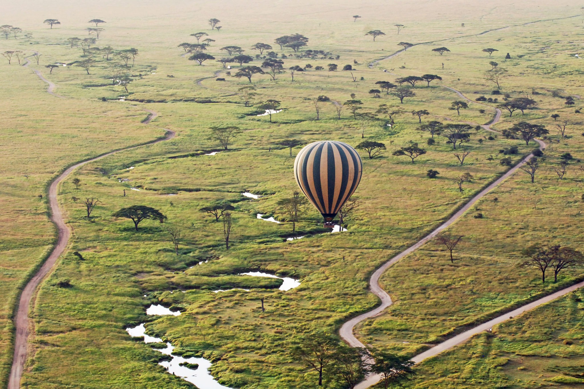 Serengeti Balloon Safari