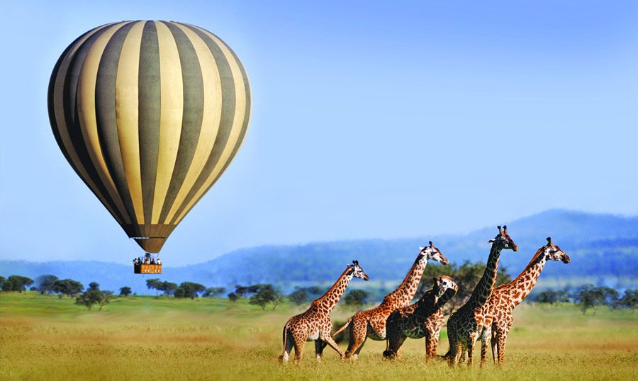 Balloon Safaris 