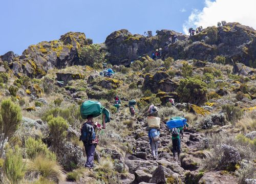 5 Days Marangu Route The Kilimanjaro Experience