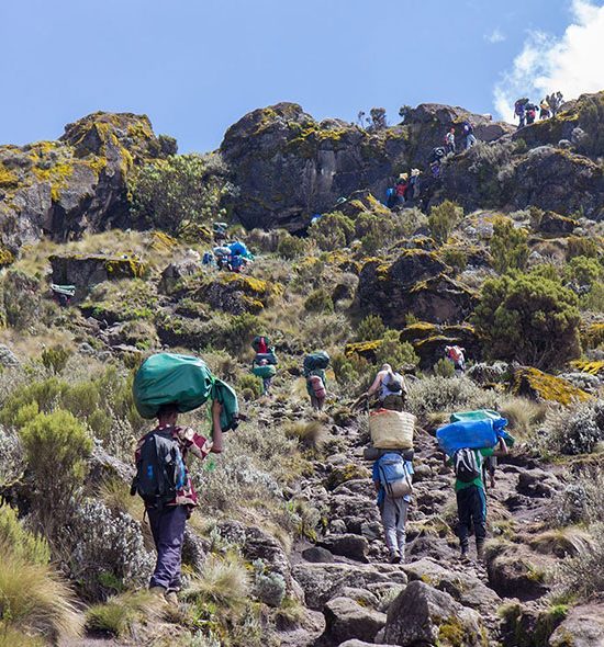 5 Days Marangu Route The Kilimanjaro Experience