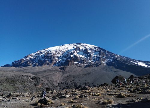 7 Days Kilimanjaro Machame Route