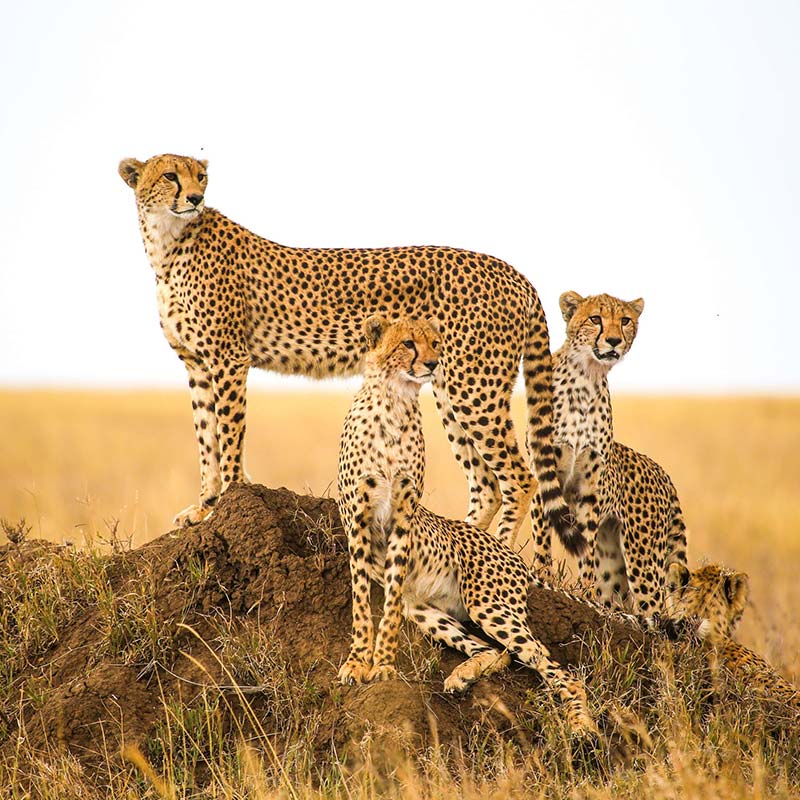 Serengeti National Park