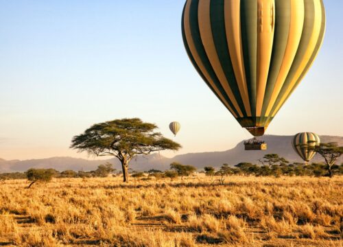 Ruaha Balloon Safari with Haiddy Safari